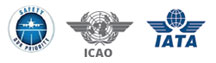 cal cargo img logos